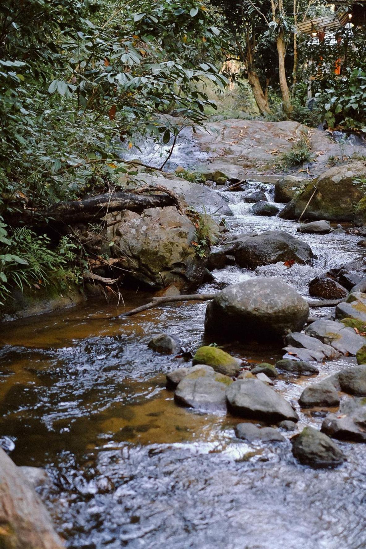 Bee Forest Ban Pok Nai Exteriér fotografie